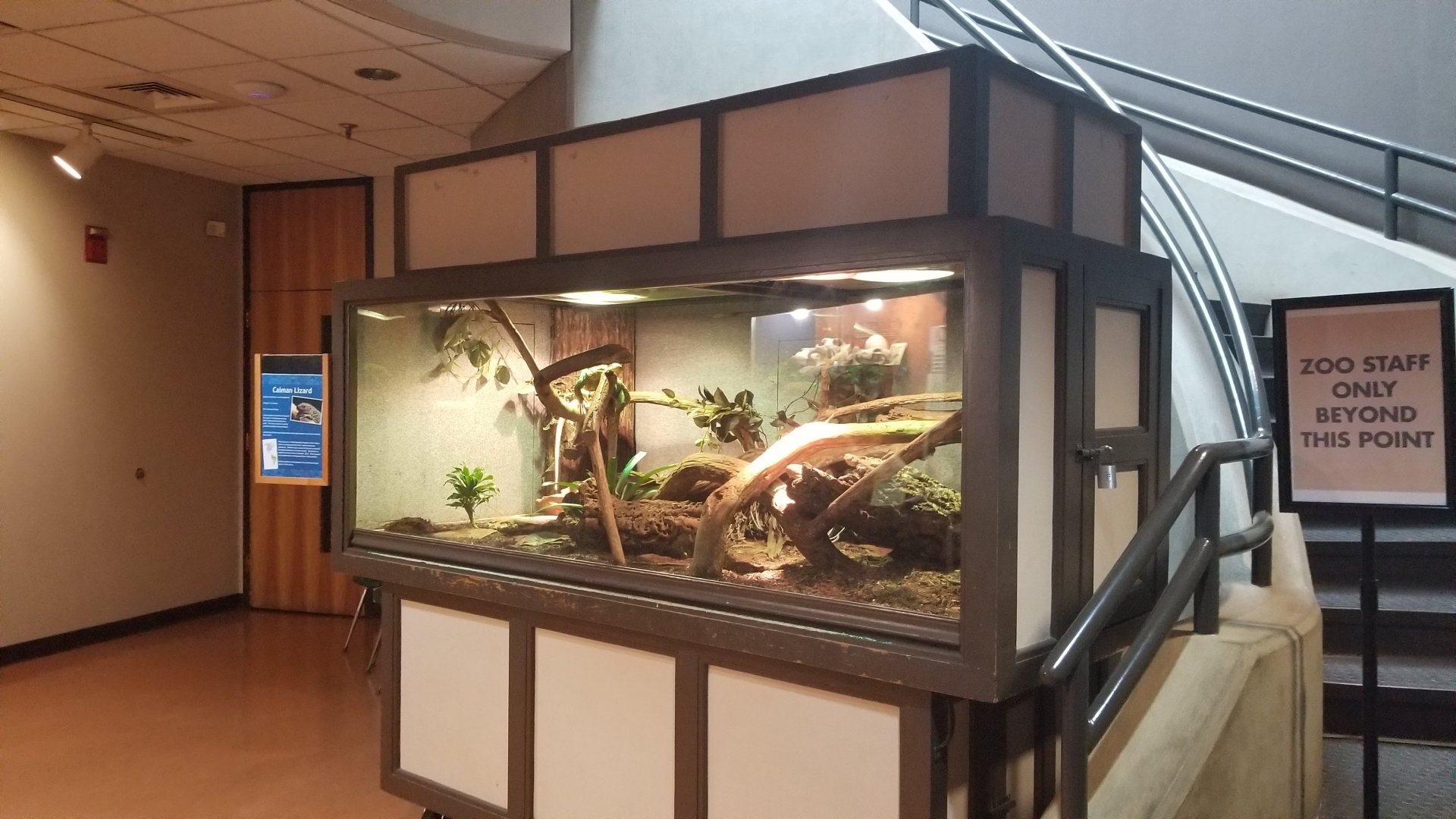 Mar. 2018 - Unseen New World - Caiman Lizard Exhibit in the Restroom Area