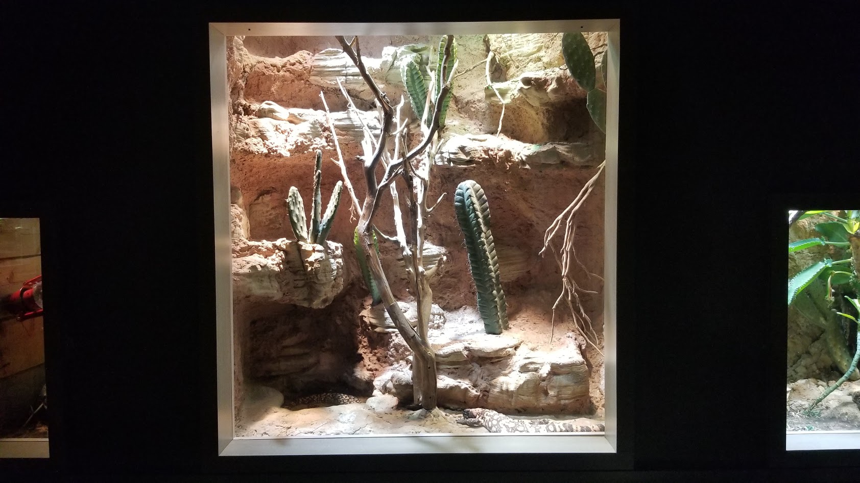 Mar. 2018 - Unseen New World - Gila Monster Exhibit