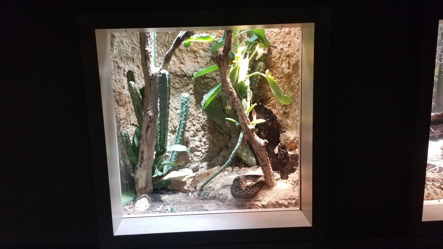 Mar. 2018 - Unseen New World - Mexican Lancehead Exhibit