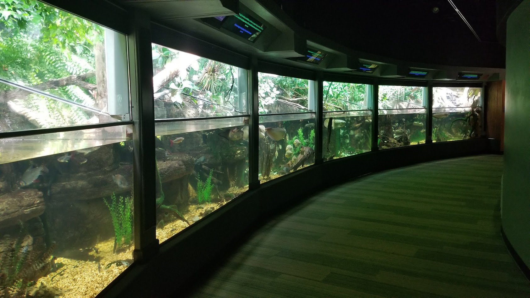 Mar. 2018 - Unseen New World - South America Tanks