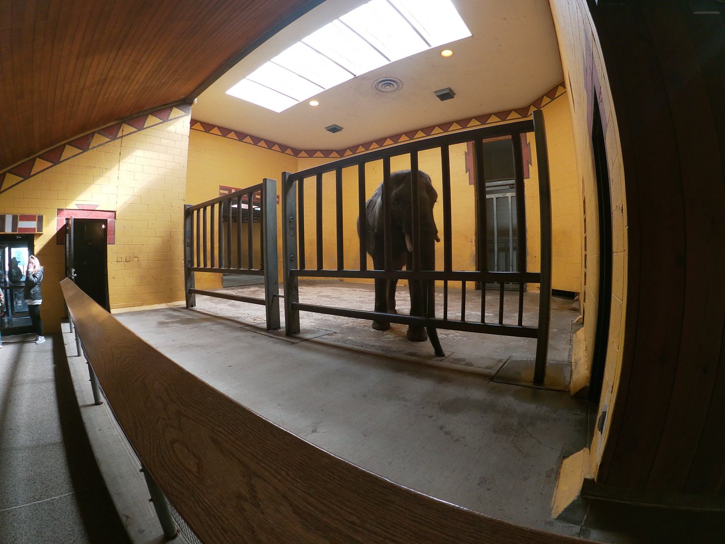 Mar. 2019 - African Savanna - Indoor Elephant Complex - Left Side