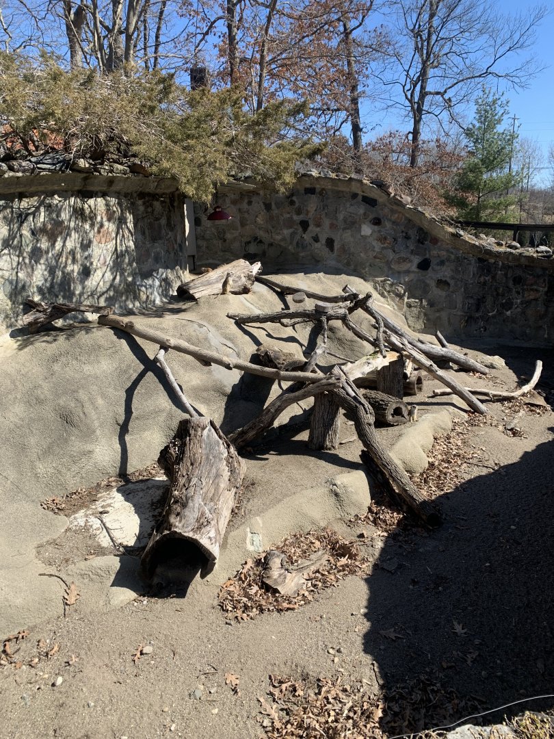 Mar. 2022- Meerkat exhibit