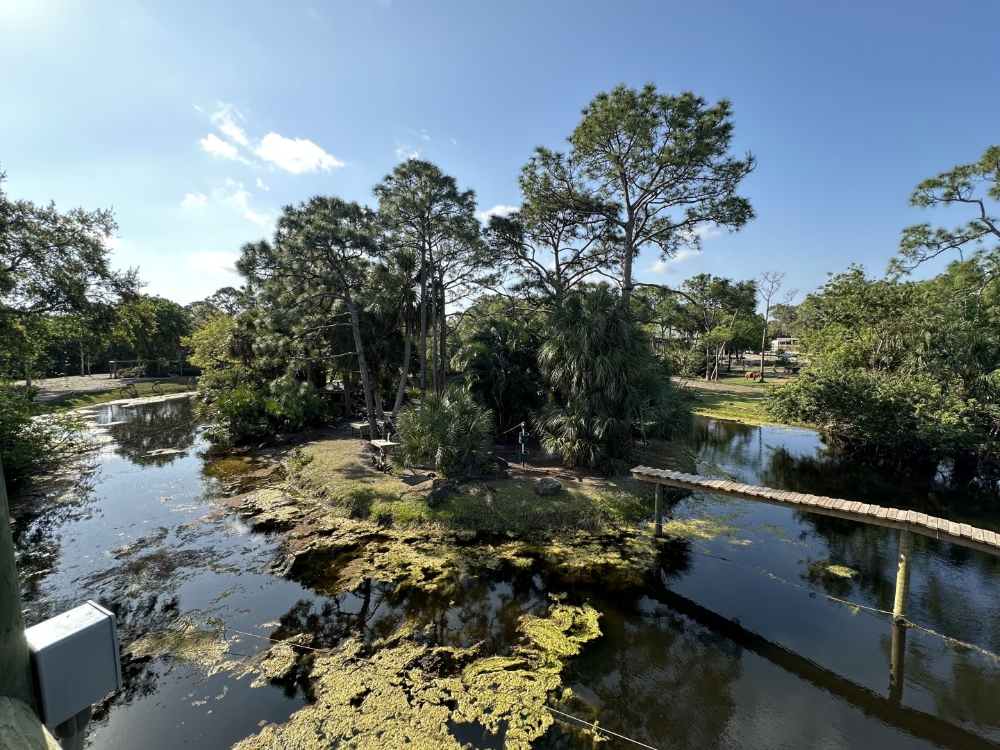 Mar. 2025 - Expedition Africa - Lemur Island