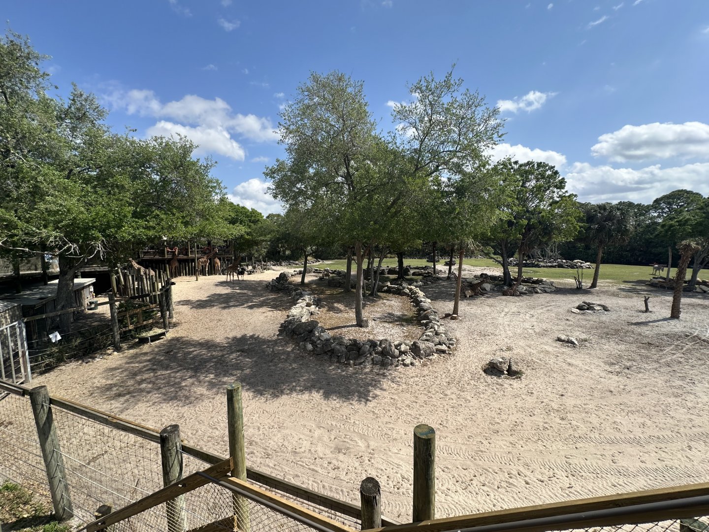 Mar. 2025 - Expedition Africa - Main Savanna (5 species)