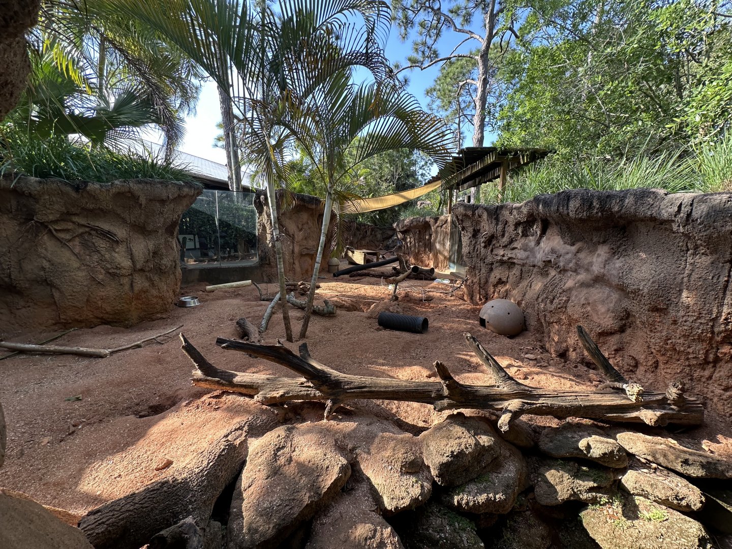 Mar. 2025 - Expedition Africa - Meerkat Enclosure