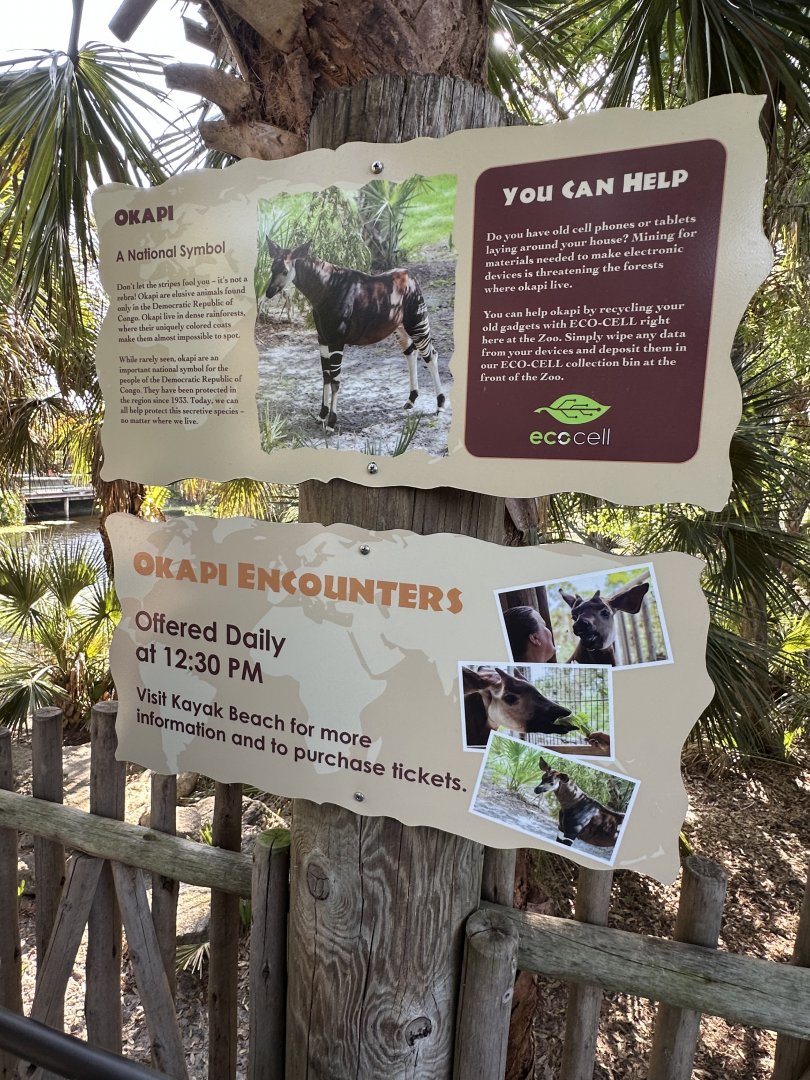 Mar. 2025 - Expedition Africa - Okapi Signage