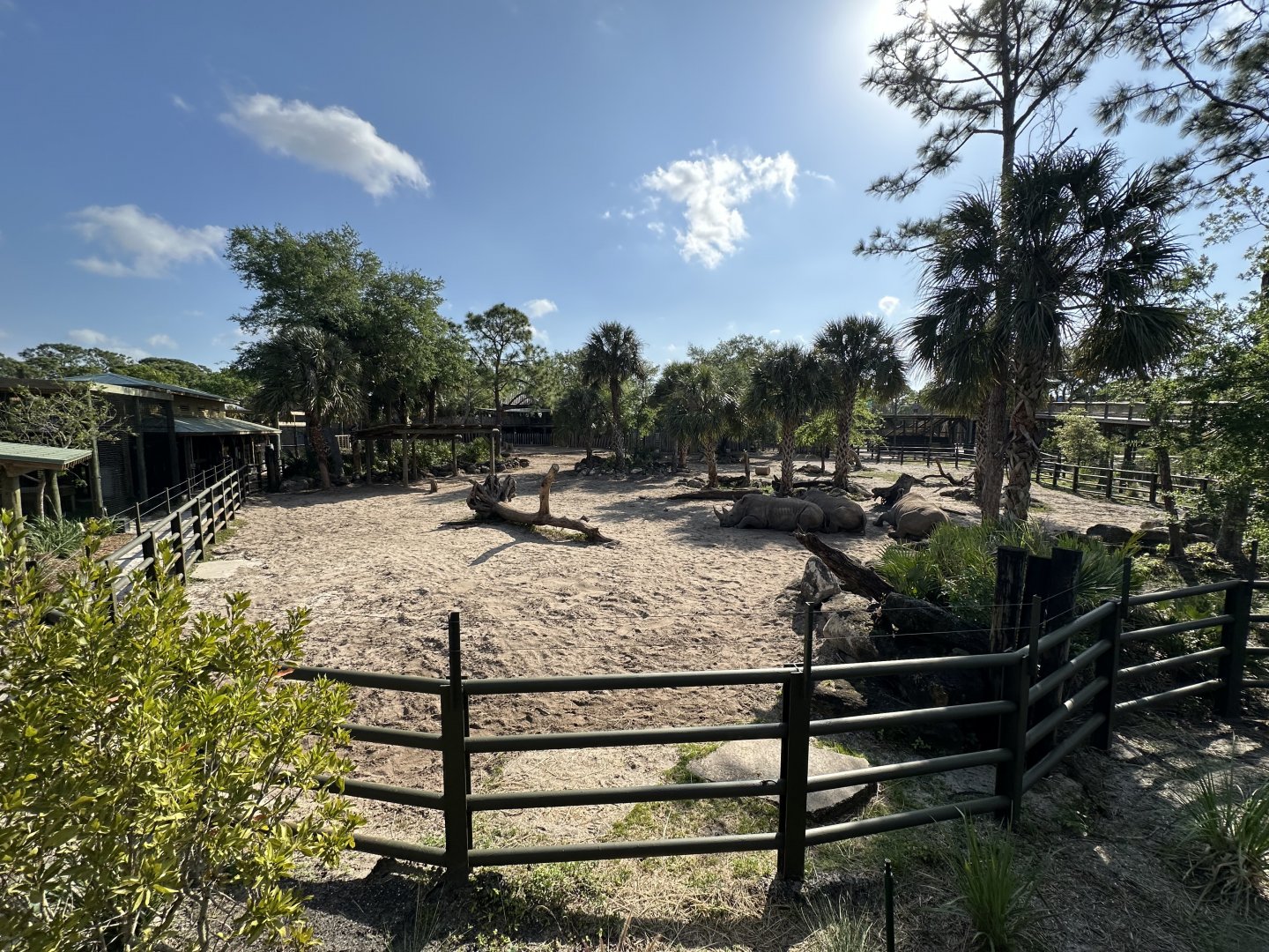 Mar. 2025 - Expedition Africa - Rhino/Oryx Enclosure