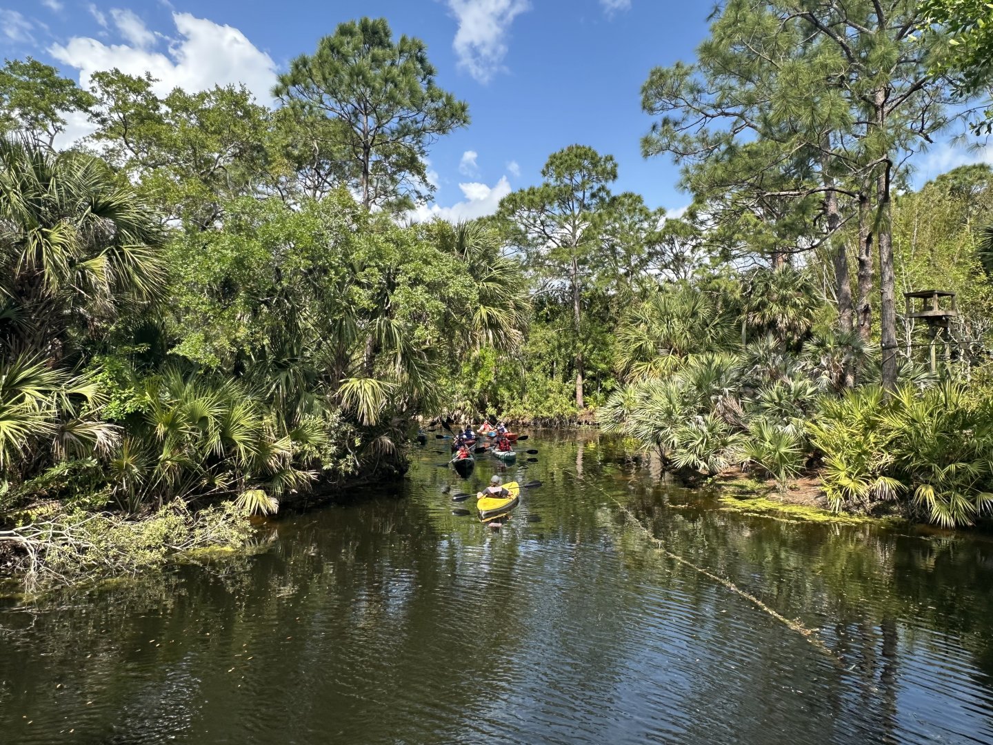Mar. 2025 - Expedition Africa - River View with Kayakers