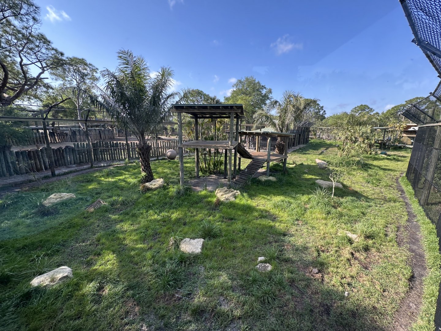 Mar. 2025 - Lion Enclosure - new for 2024