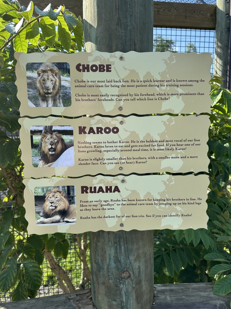 Mar. 2025 - Lion Identification Signage