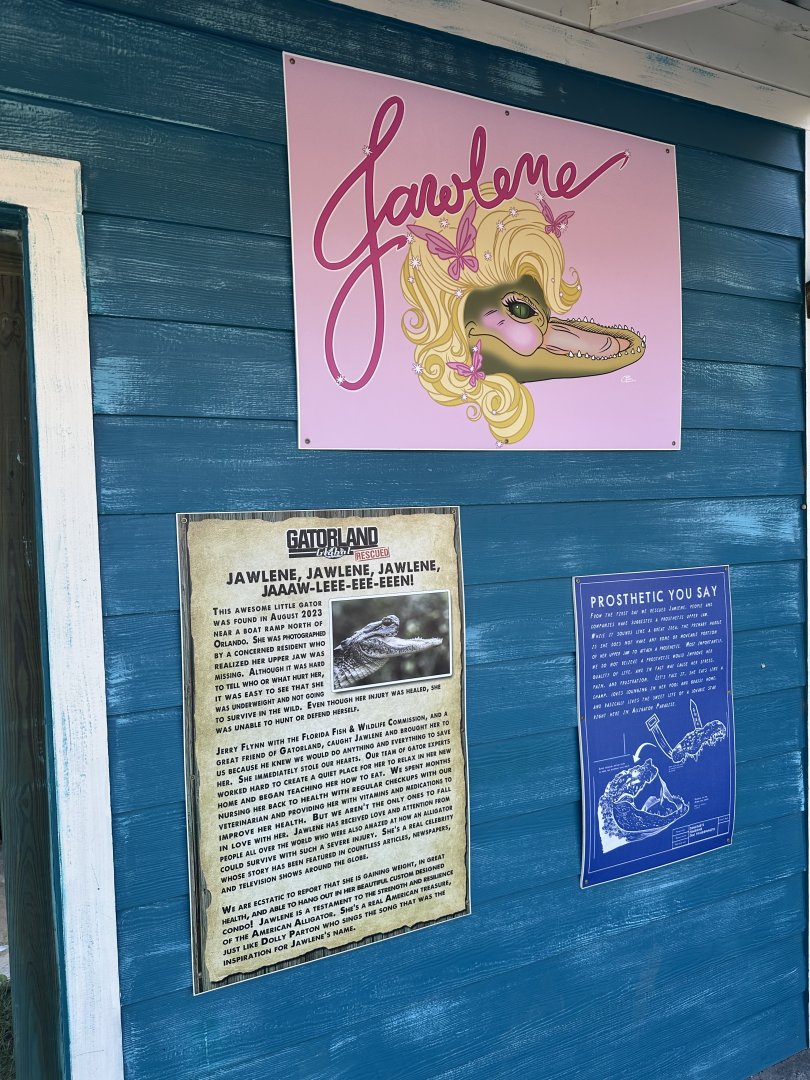 Mar. 2025 - Signage about Jawlene (Alligator)