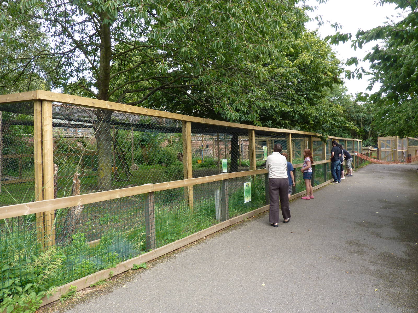 Mara and Wallaby enclosures