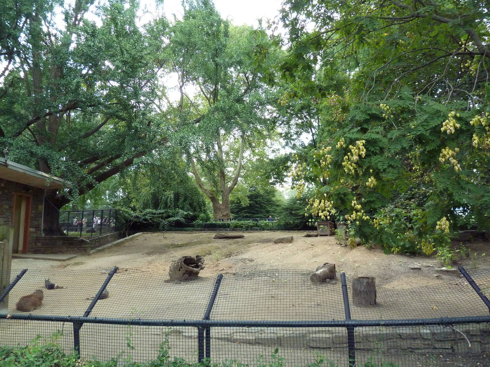 Mara/Capybara Exhibit