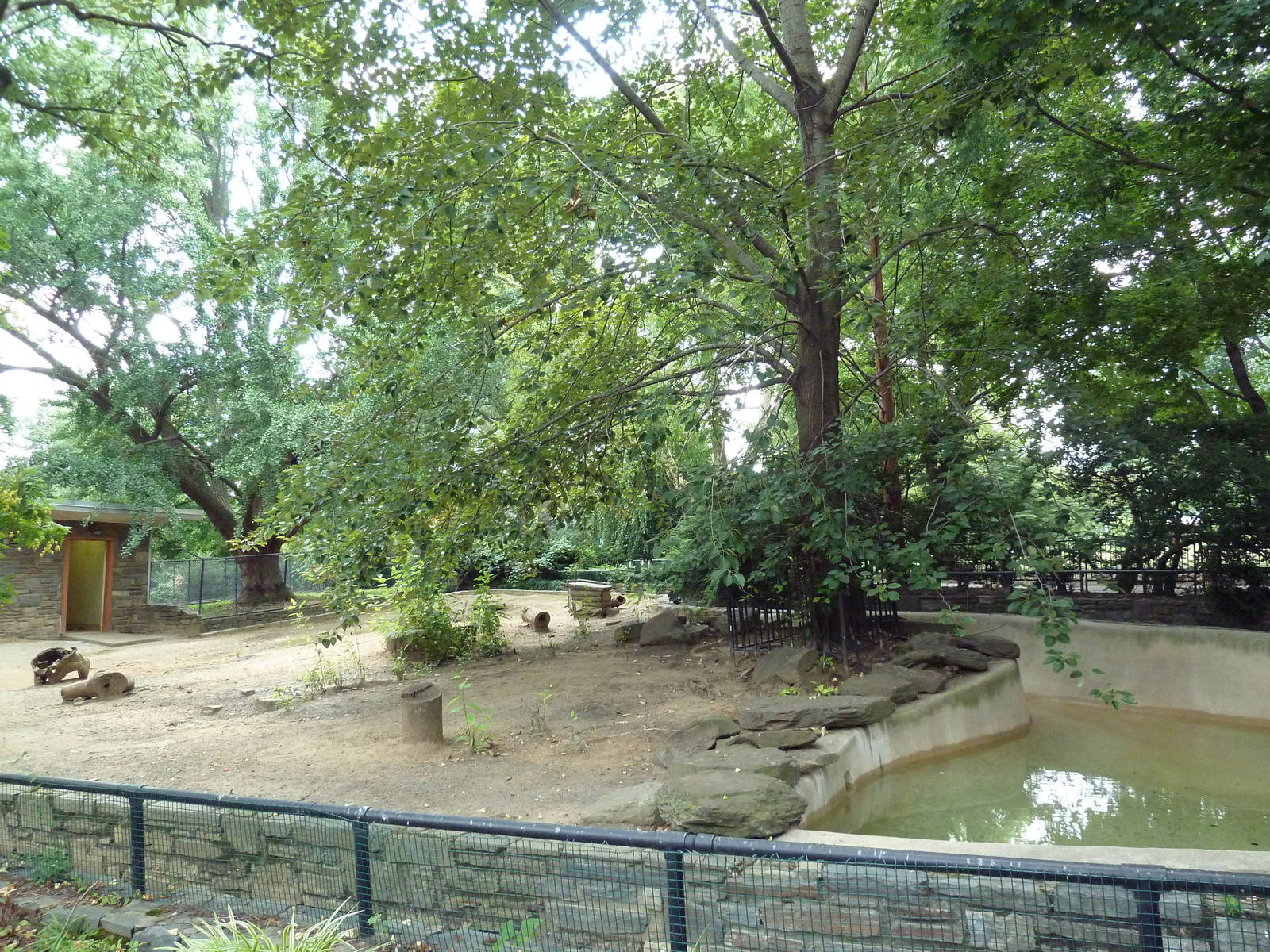 Mara/Capybara Exhibit
