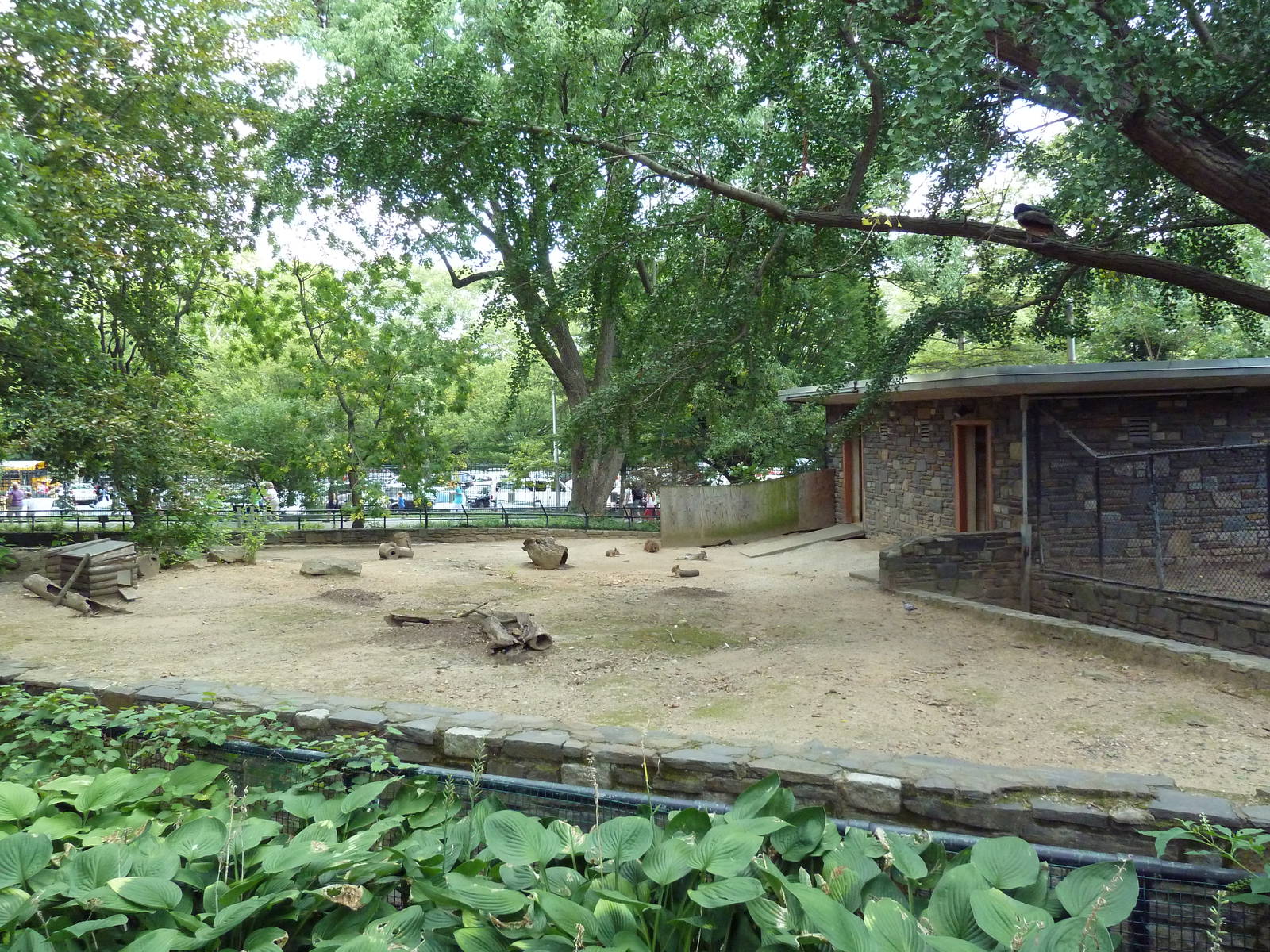 Mara/Capybara Exhibit