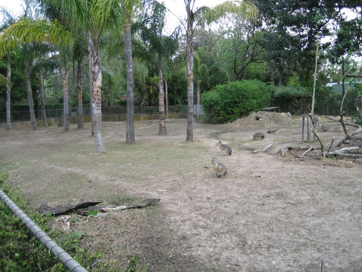 Mara Enclosure