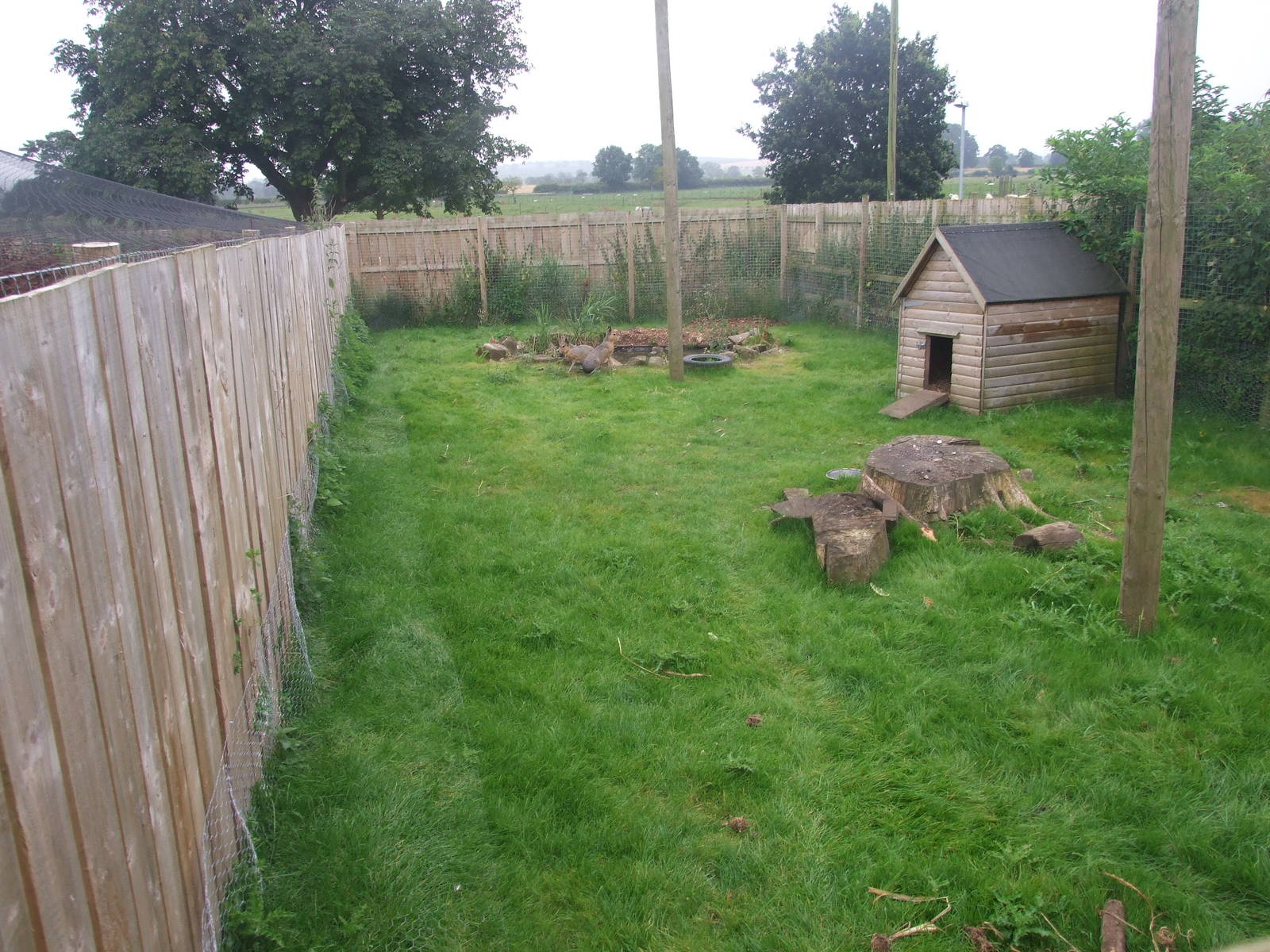 Mara Enclosure
