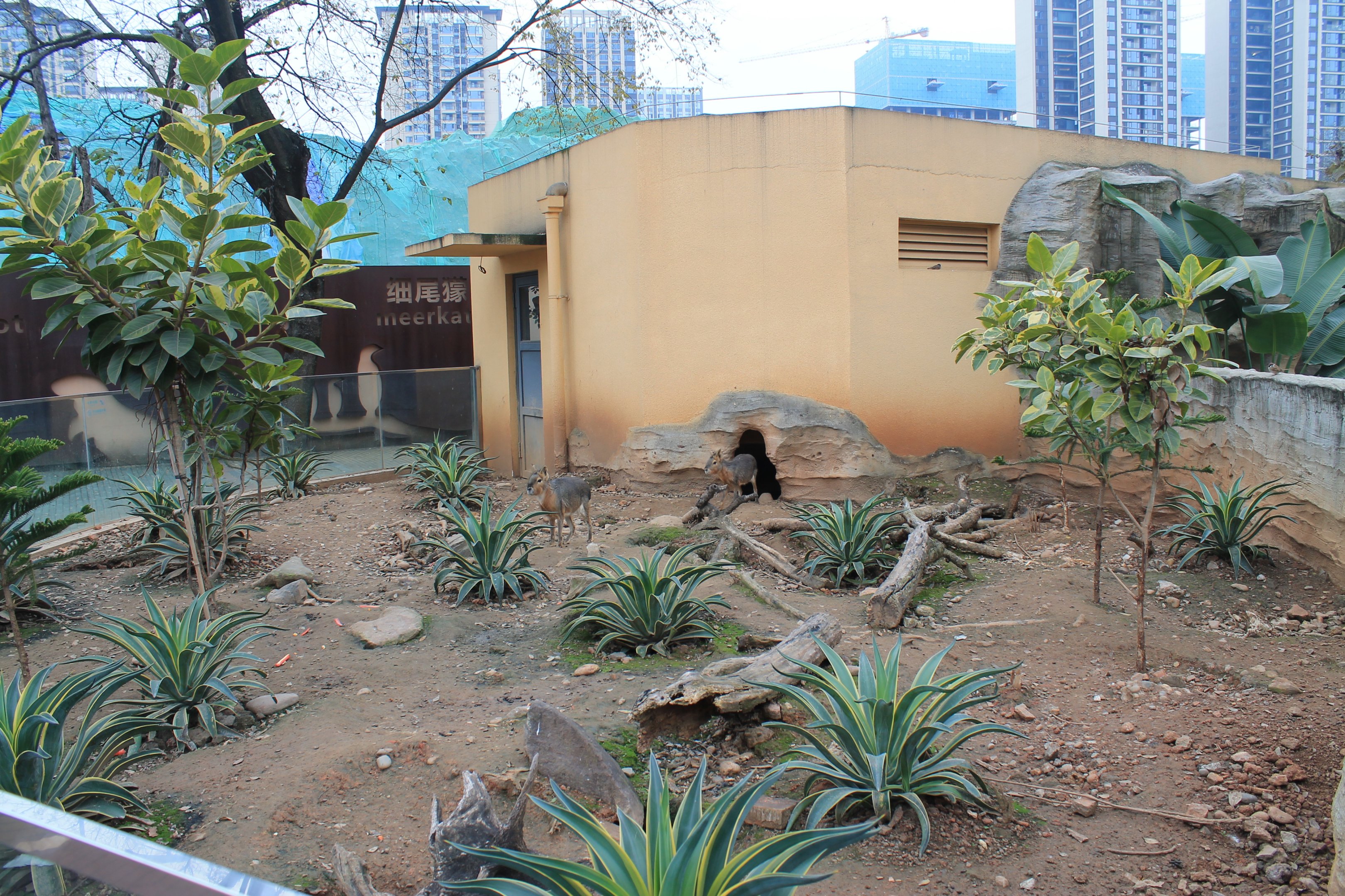 Mara enclosure