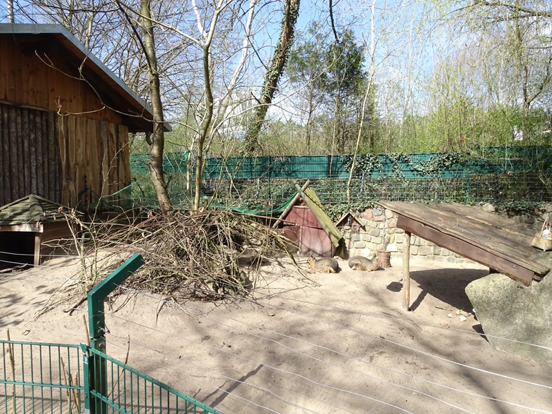 Mara enclosure