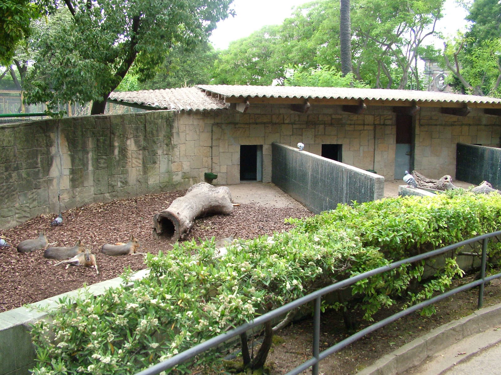 Mara Exhibit at Barcelona, 30/05/11