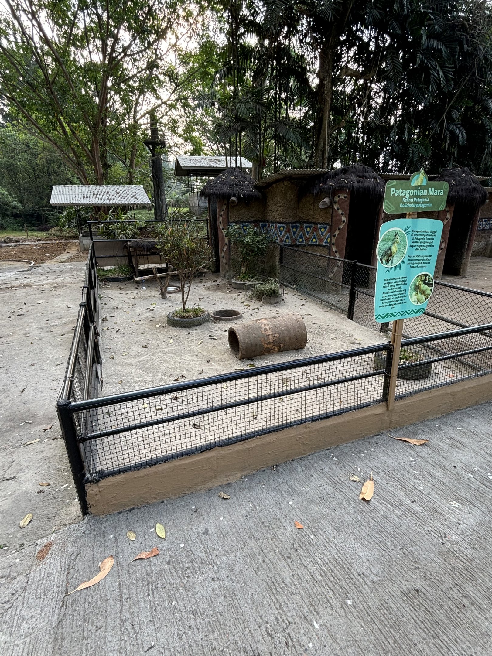 Mara Exhibit - Royal Safari Garden Resort