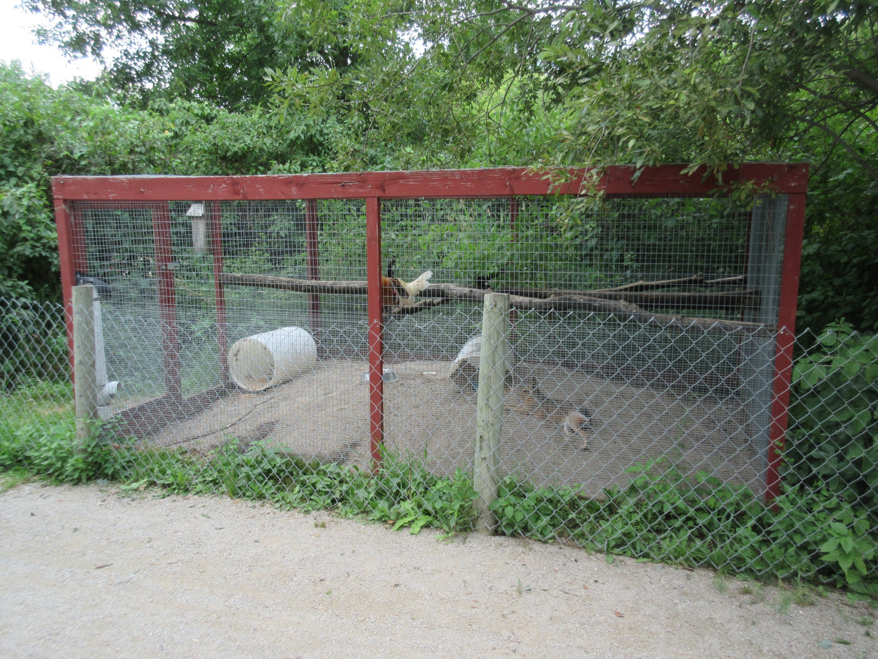 Mara Exhibit