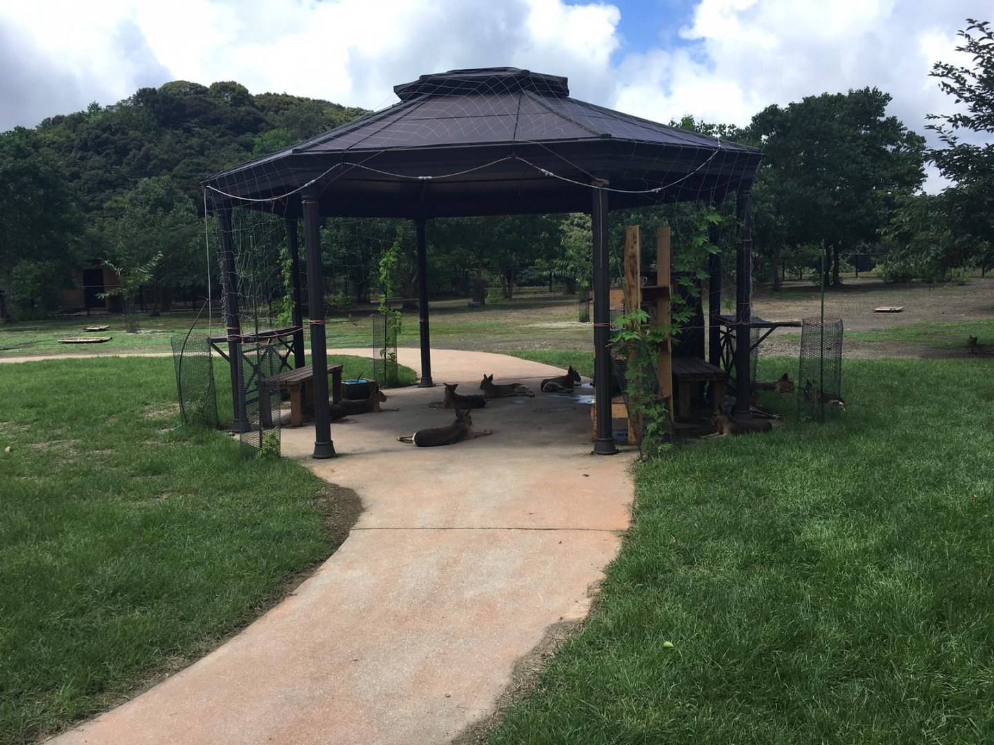 Mara Gazebo-Nagasaki Bio Park