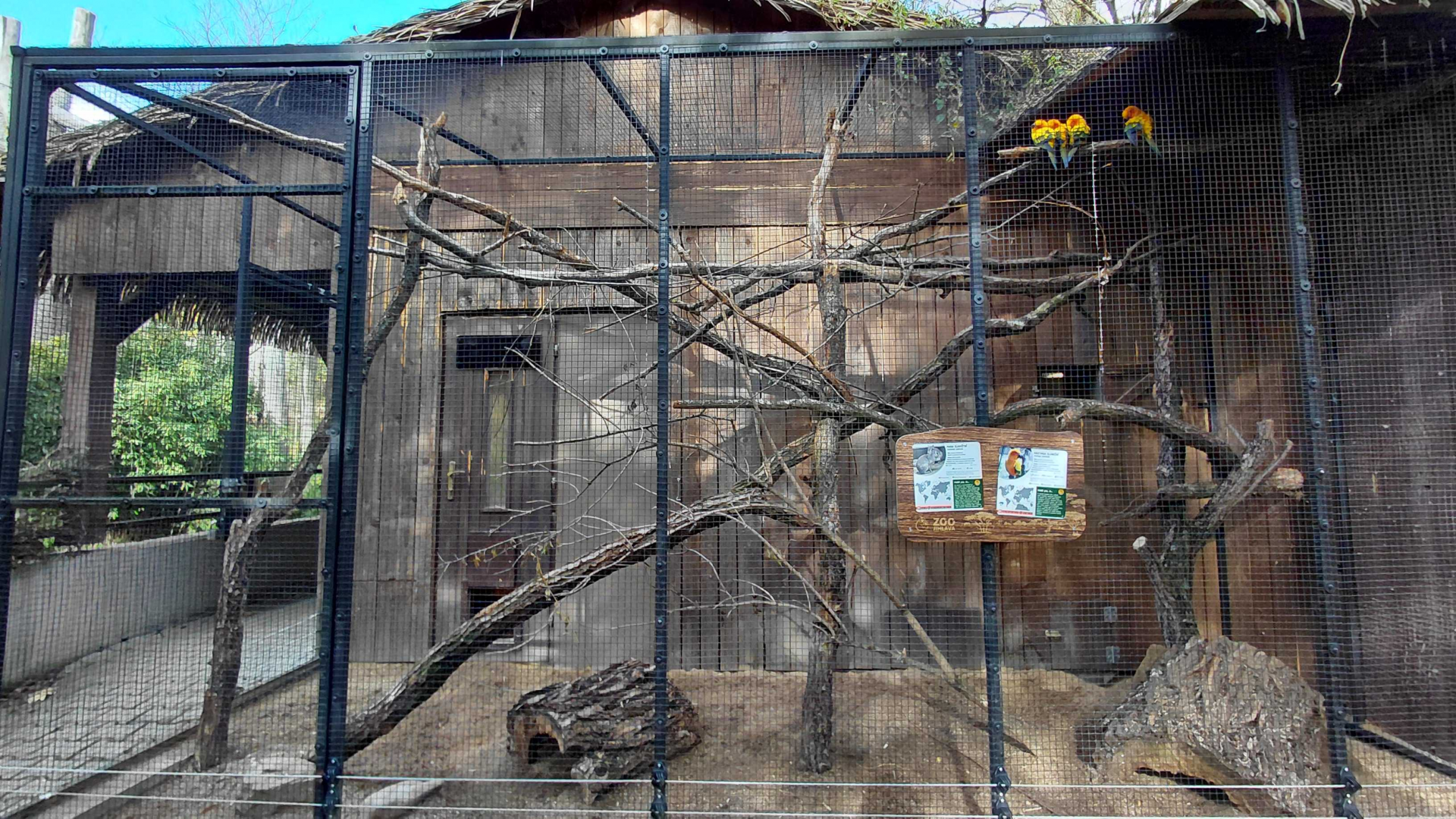 Mara + parakeet outdoor exhibit