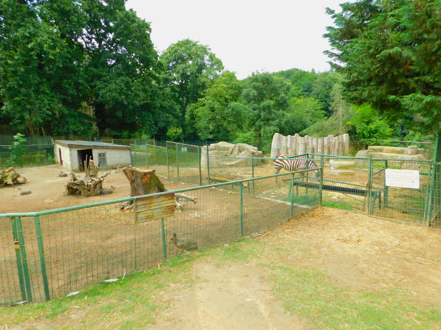 Mara Pen and the Neighboring Zebra and Co. Corral.