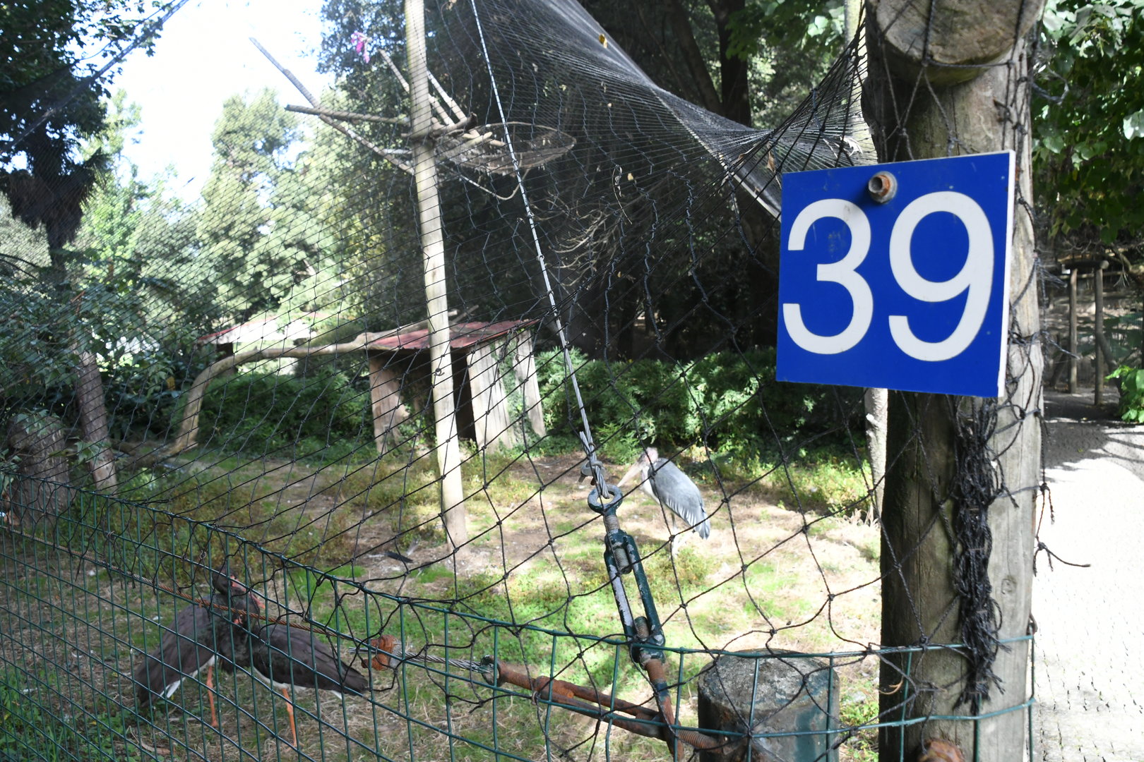 Marabou and Storks Aviary (Zoo Lourosa)