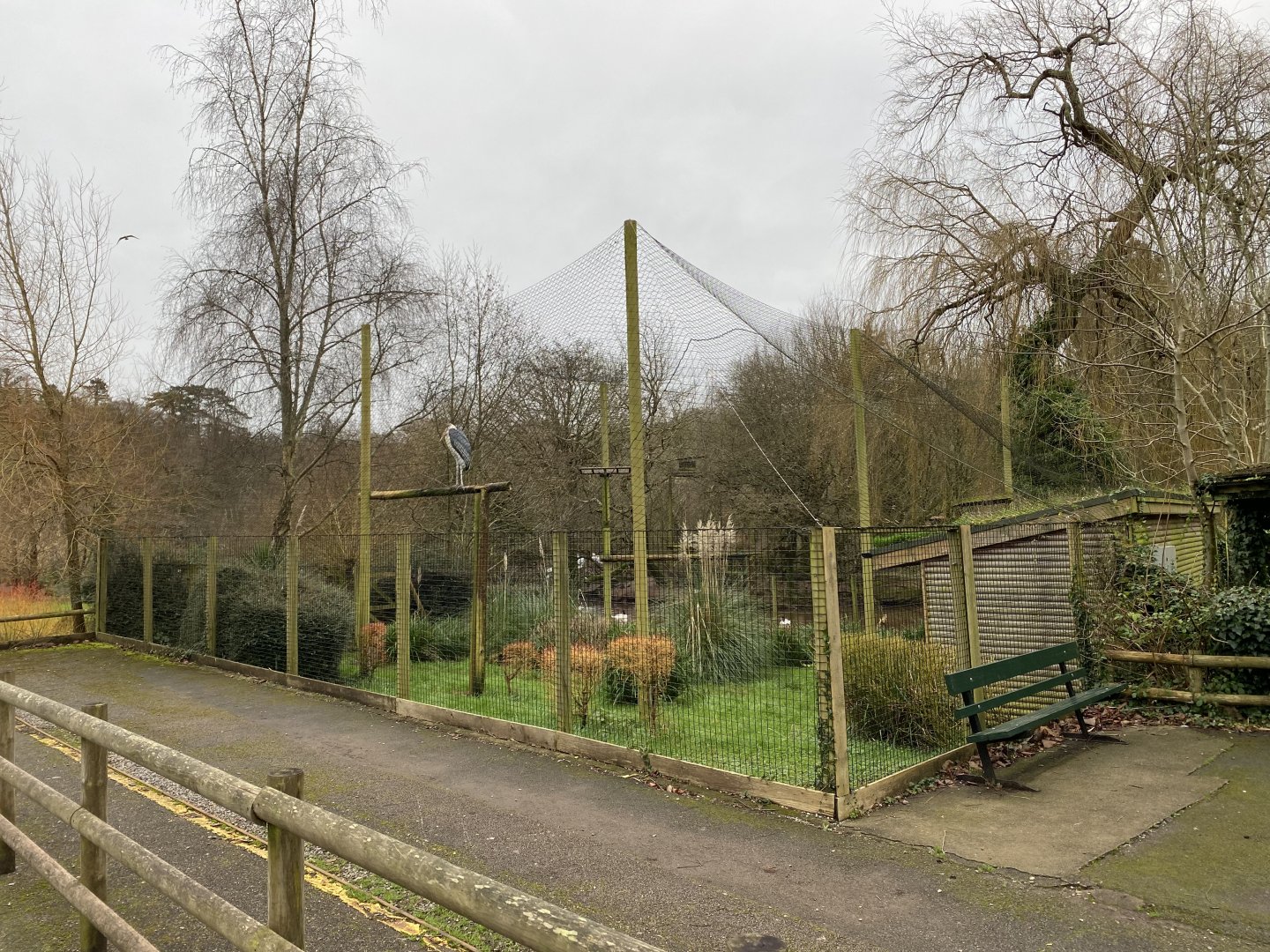 Marabou aviary 050120