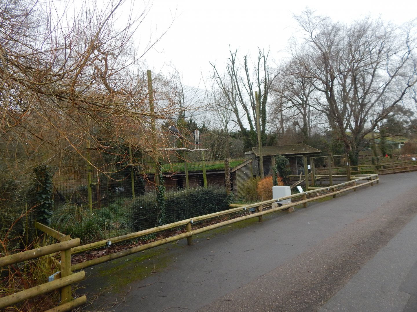 Marabou aviary 050224