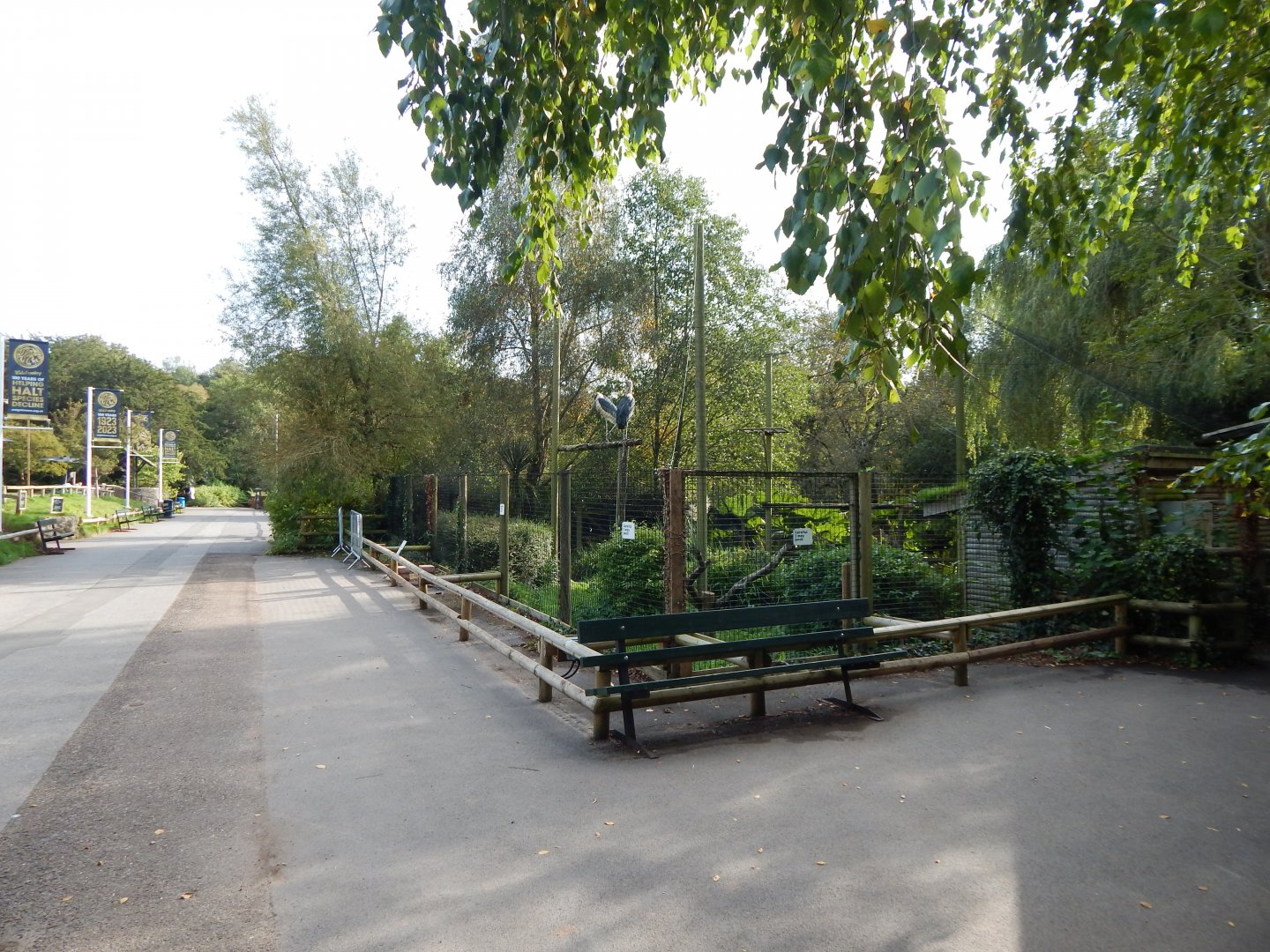 Marabou aviary 290923