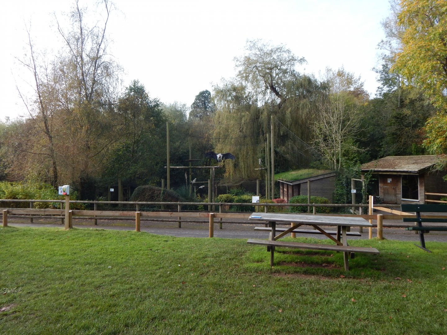 Marabou enclosure 181020