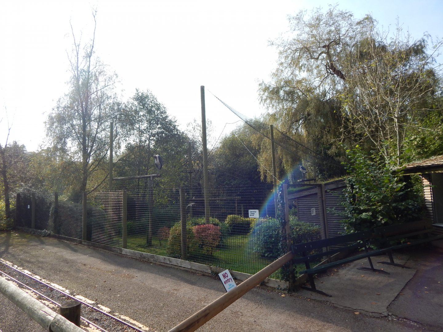 Marabou enclosure 181020