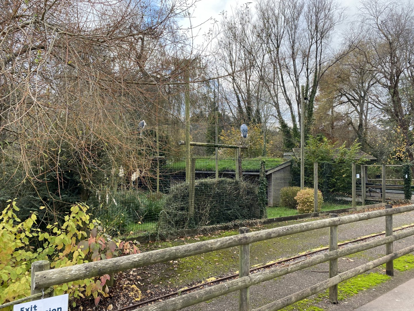 Marabou enclosure 201121