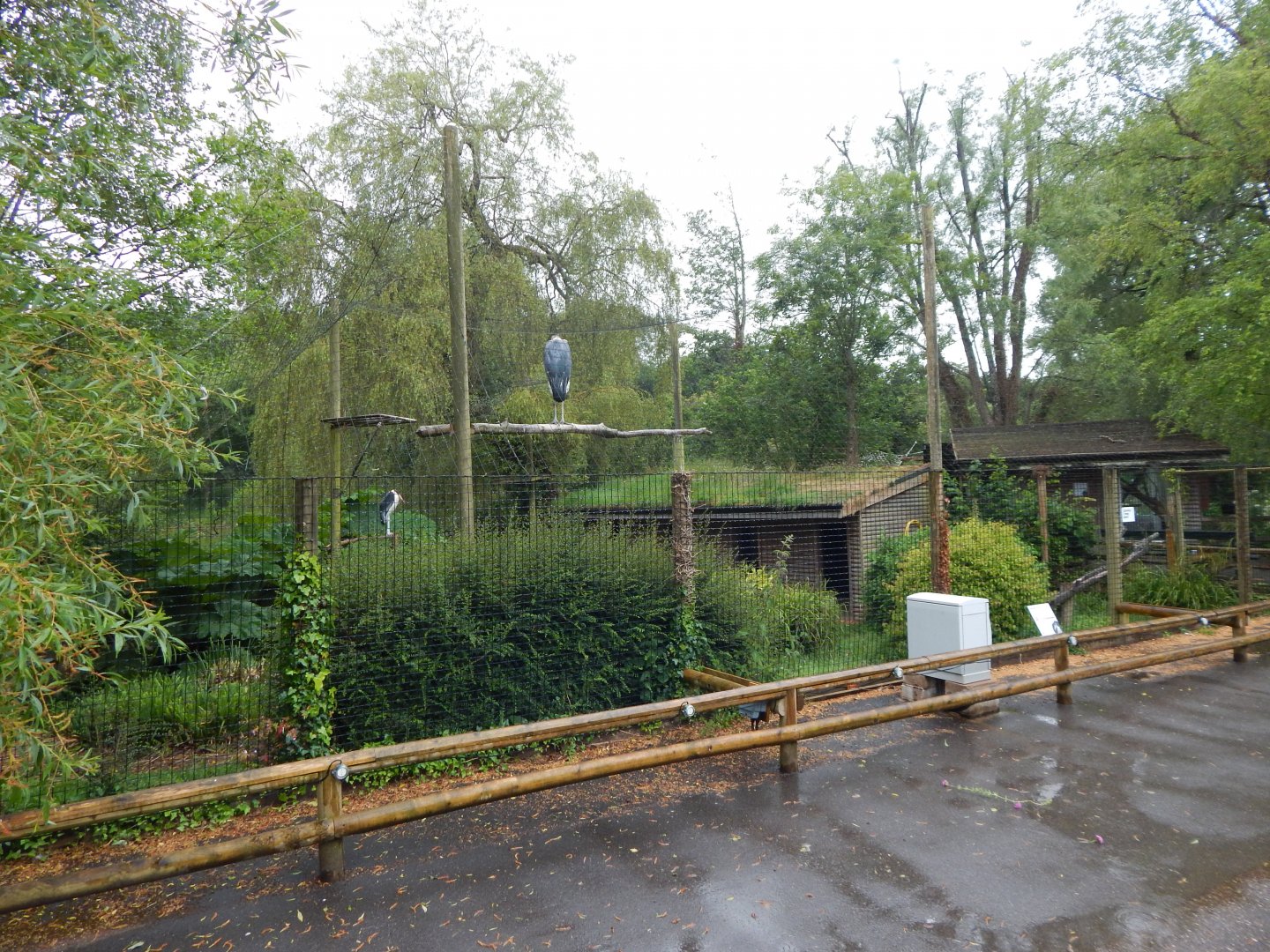 Marabou exhibit 130624