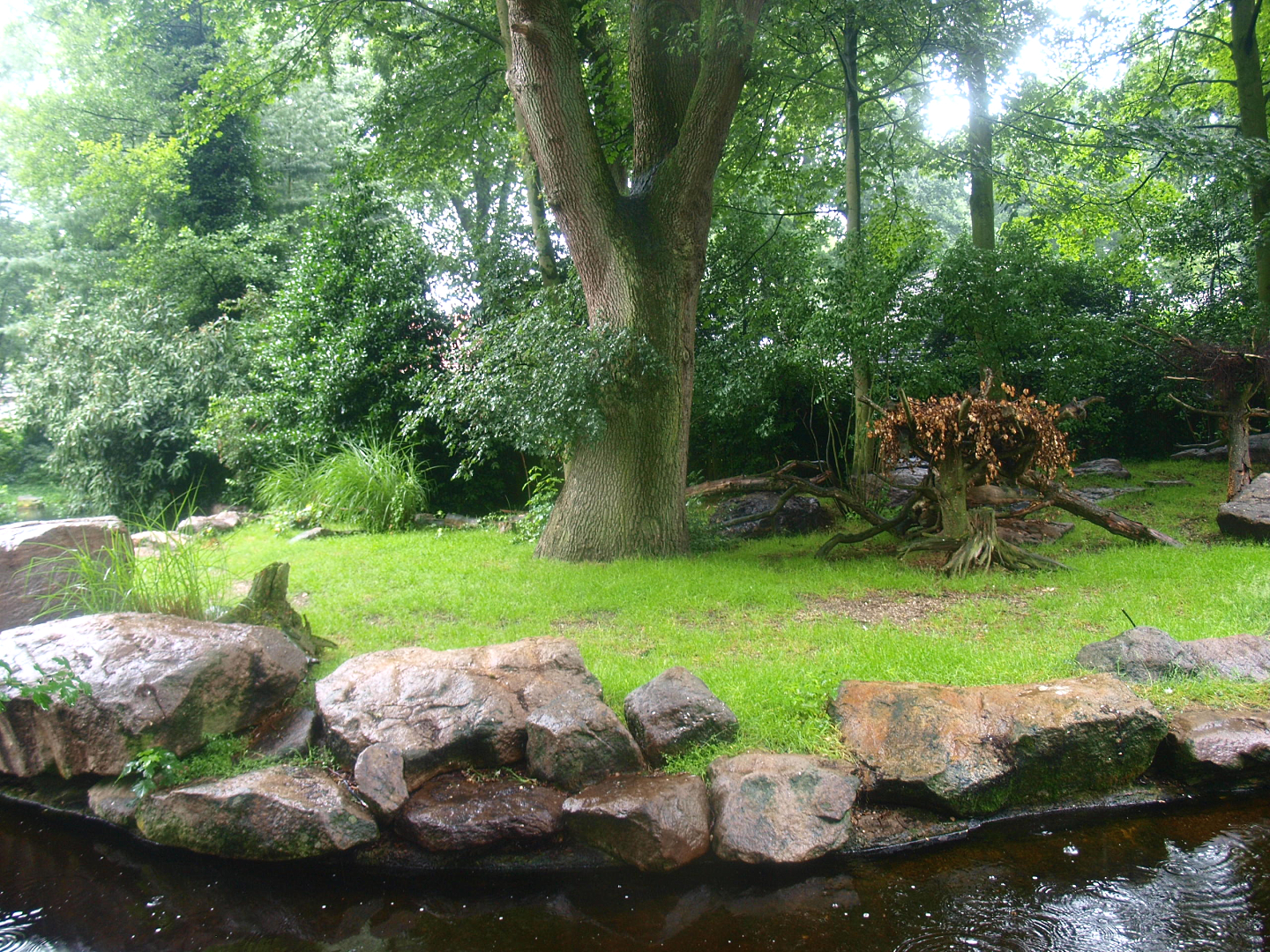 Marabou exhibit, 2015-07-19