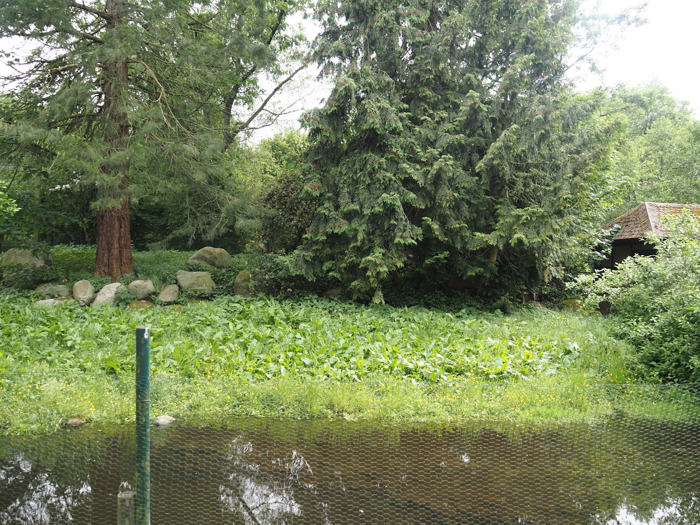 Marabou exhibit, 2024-05-21