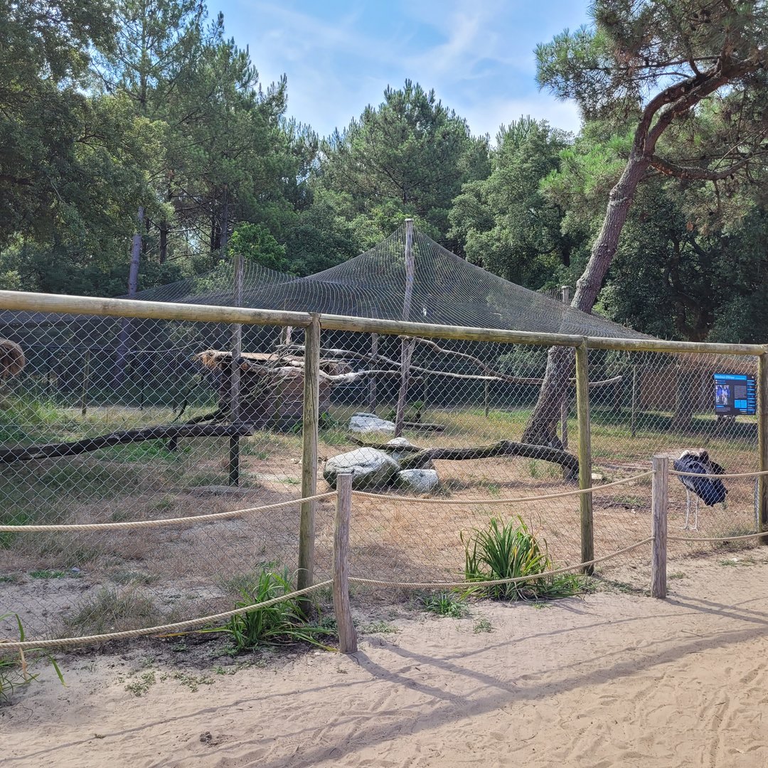 Marabou exhibit -Zoo de Labenne (2023)