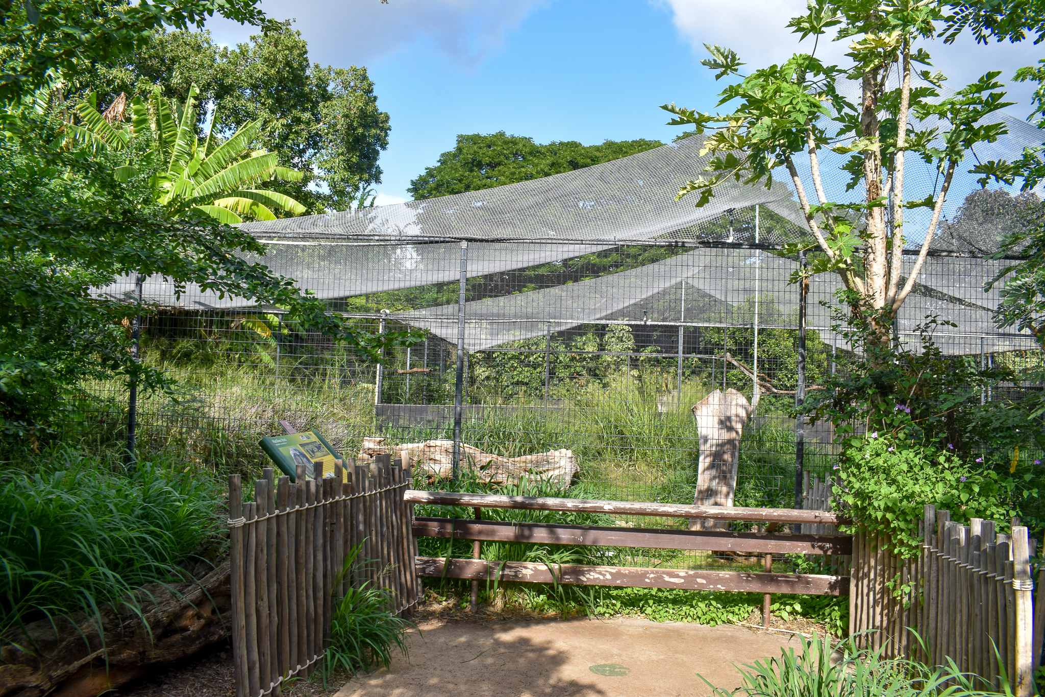 Marabou stork aviary
