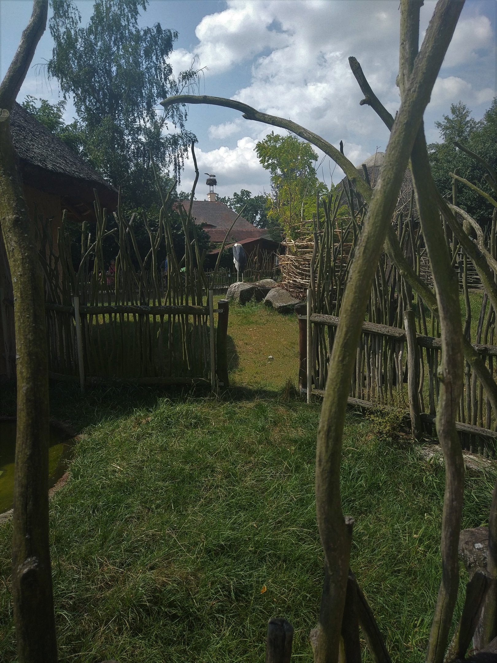 Marabou Stork Exhibit