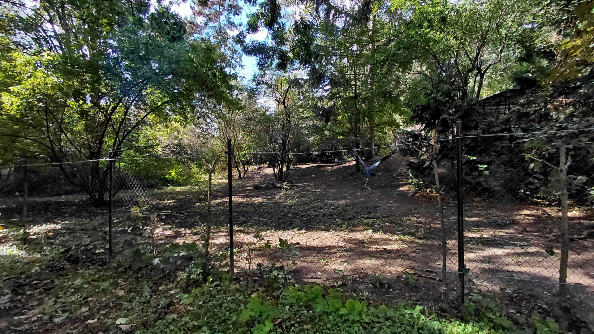 Marabou stork + goose exhibit