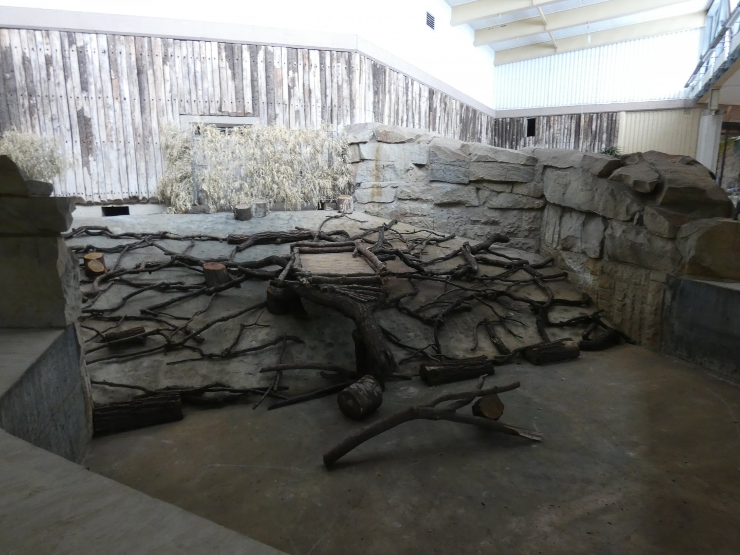 Marabou Stork Winter Indoor Area (Pachyderm House)