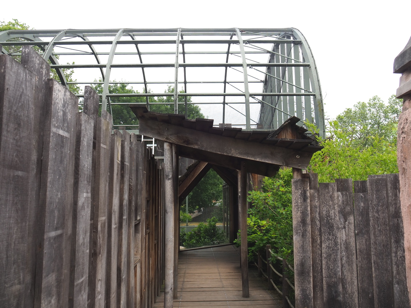 Marabou/Vulture aviary and upper level viewing area, 2021-06-12