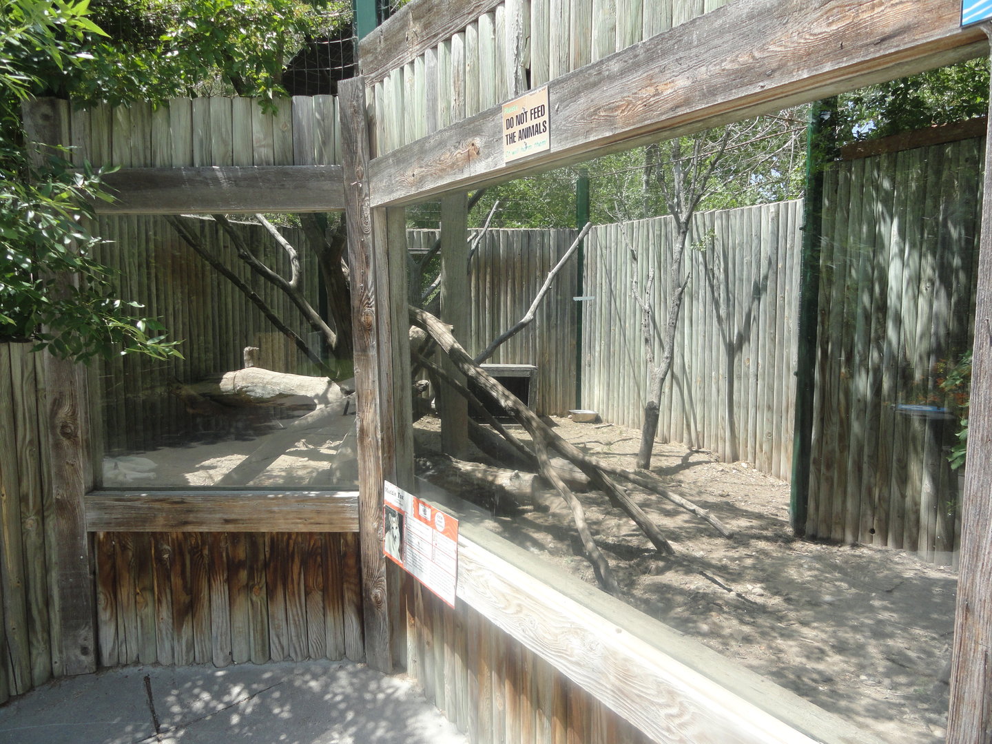 "Marble" Fox Exhibit