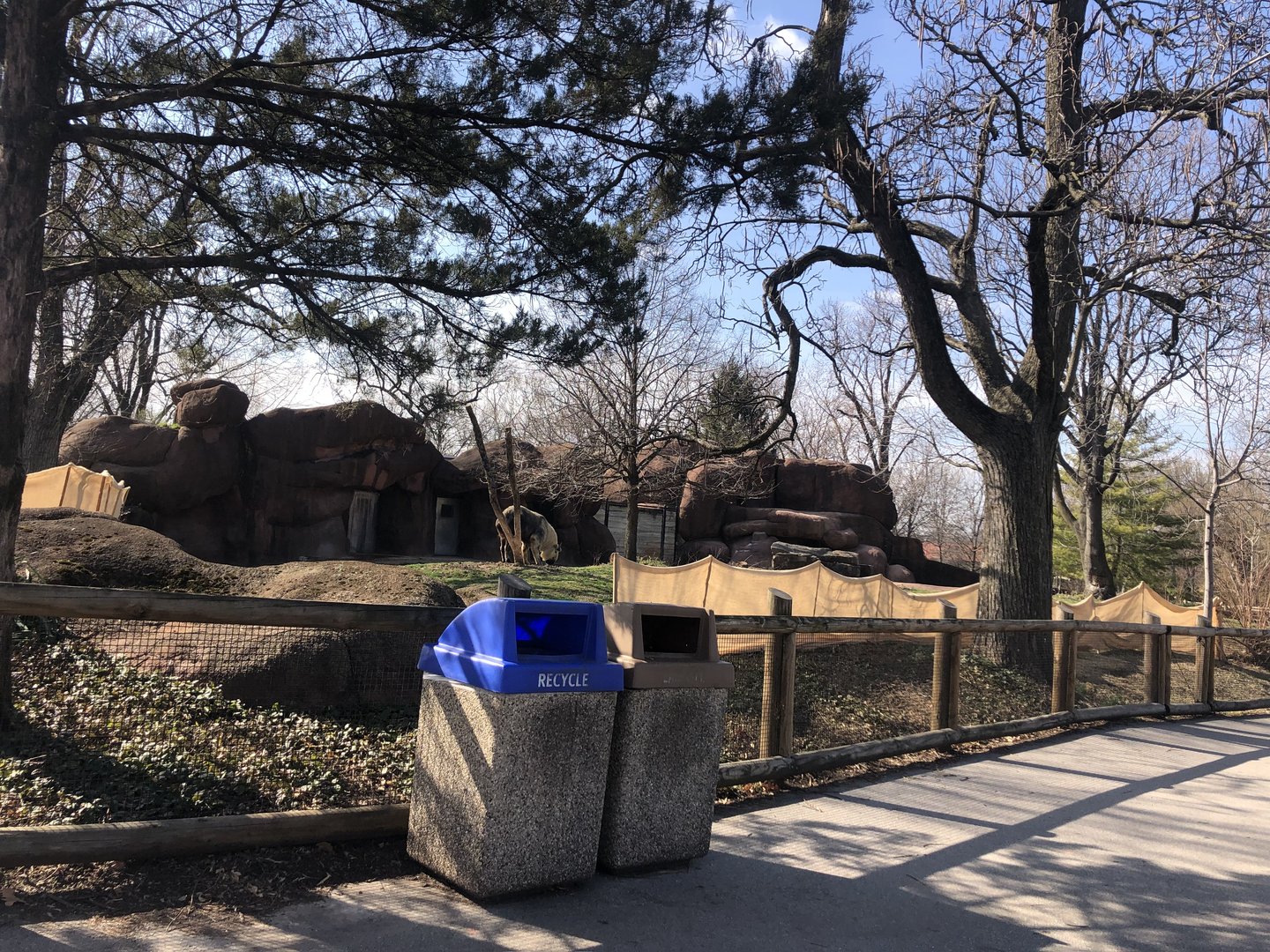 [March 2023] Red Rocks- Burlap fence around Chinese goral (Naemorhedus griseous) and Sichuan takin (Budorcas taxicolor tibetana) mixed yard