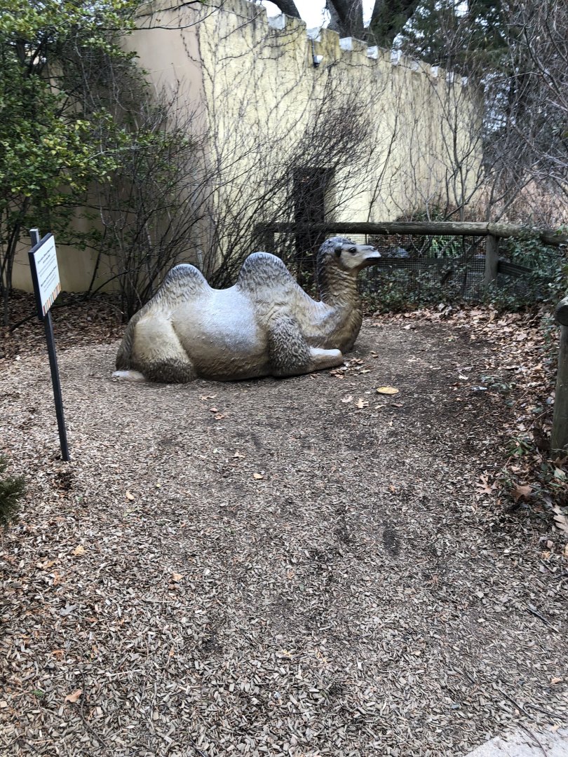 Marco Polo Camel Statue - Feb, 2020