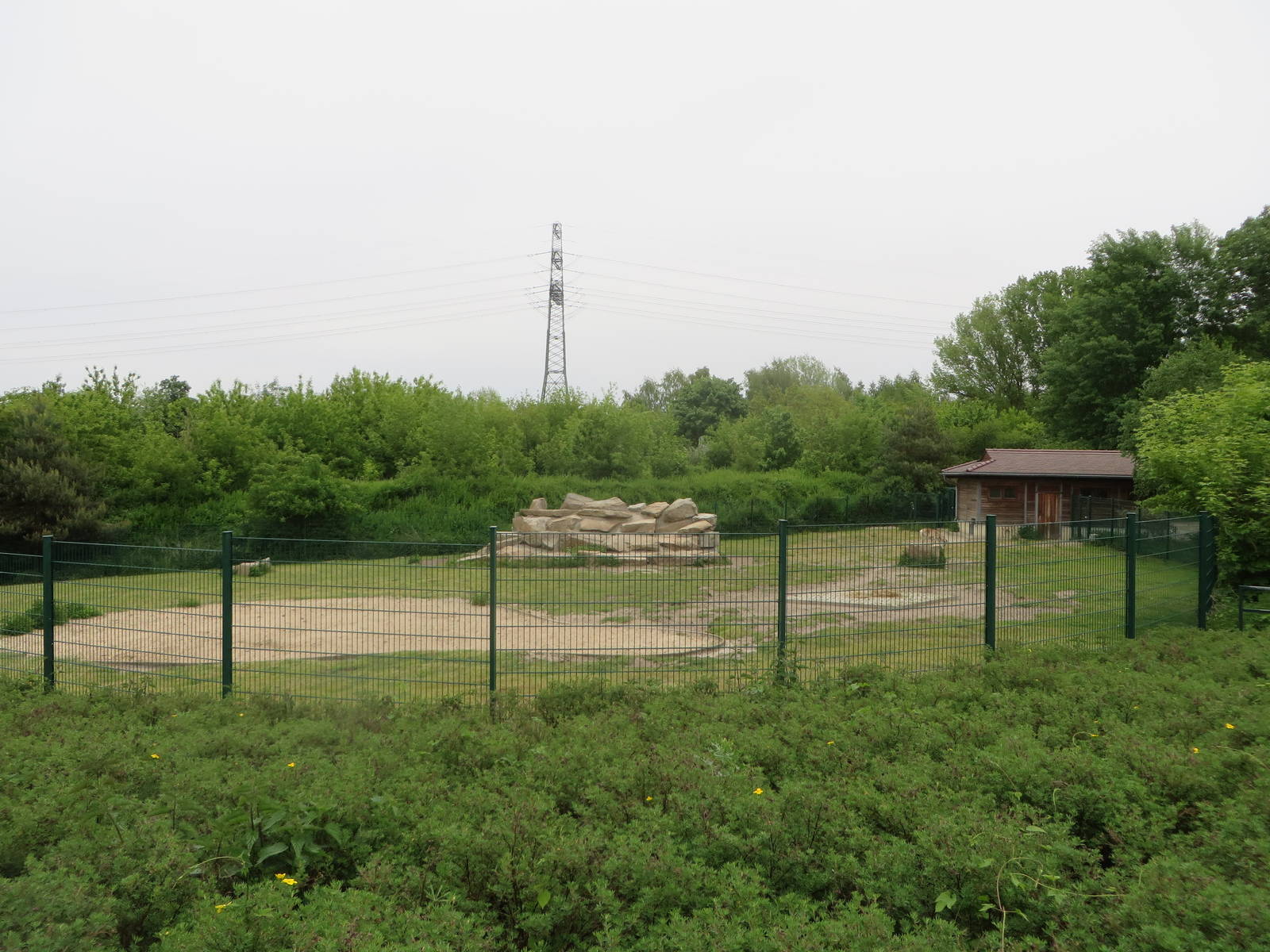 Marco Polo sheep enclosure