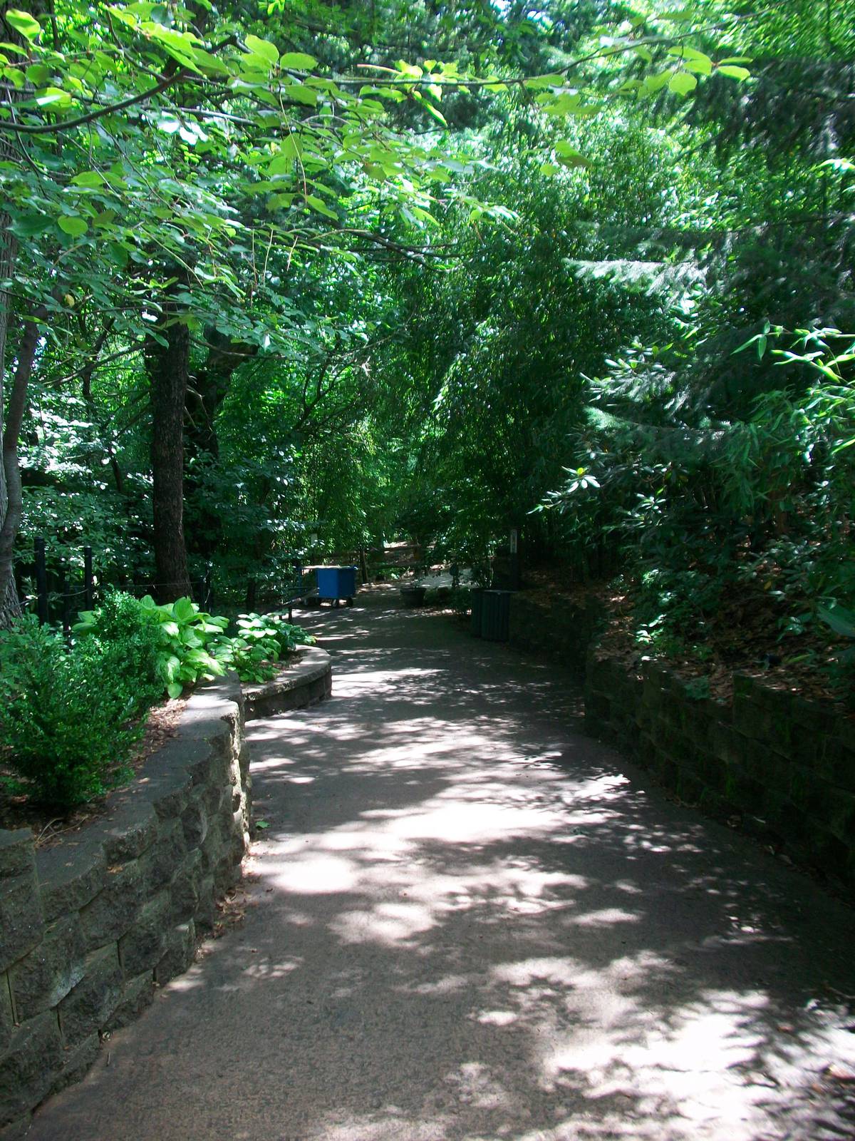 Marco Polo Trail - 2009